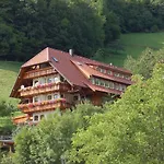 Ehrenmattlehof Faisst 4* Bad Peterstal-Griesbach