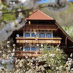 Aparthotel Ehrenmattlehof Faisst 4*