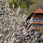 Ehrenmaettlehof Faisst 4*