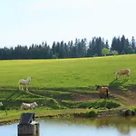Ehrenmaettlehof Faisst Apartahotel 4*