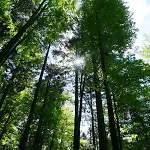 Ehrenmattlehof Faisst 4*