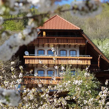 Hotel apartamentowy Ehrenmaettlehof Faisst 4*