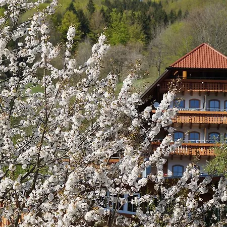Ehrenmaettlehof Faisst 4*