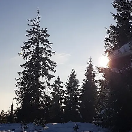 Ehrenmattlehof Faisst Bad Peterstal-Griesbach