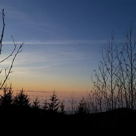 Ehrenmattlehof Faisst 4*