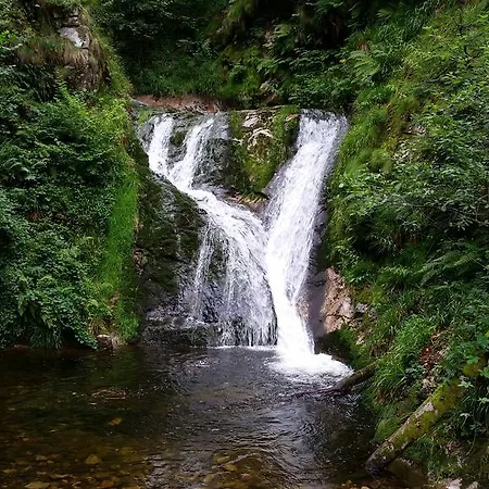 Ehrenmattlehof Faisst Aparthotel 4*