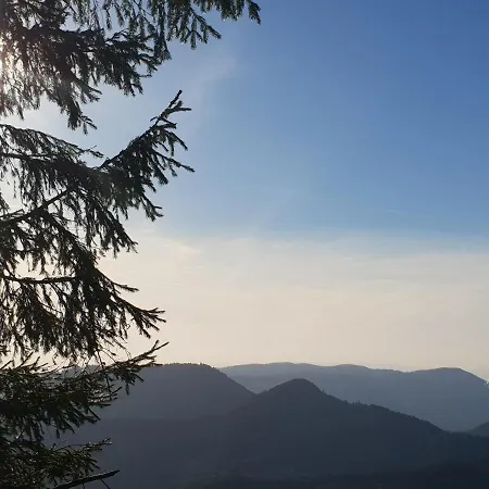 Ehrenmattlehof Faisst Aparthotel Bad Peterstal-Griesbach