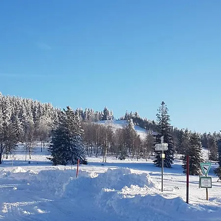 Hotel apartamentowy Ehrenmaettlehof Faisst 4*
