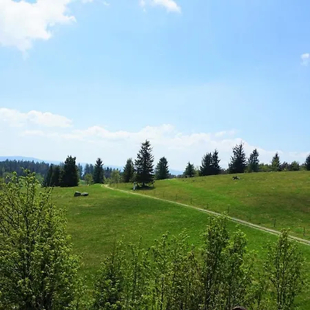 Ehrenmaettlehof Faisst Hotel apartamentowy 4*