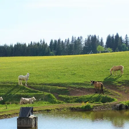 恩玛特勒霍夫费比酒店 公寓式酒店 4*