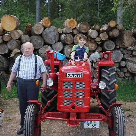 恩玛特勒霍夫费比酒店 4* 巴特彼得斯塔尔-格里斯巴赫