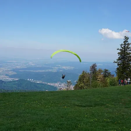 Ehrenmaettlehof Faisst アパートホテル