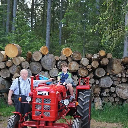 Ehrenmattlehof Faisst Aparthotel 4*