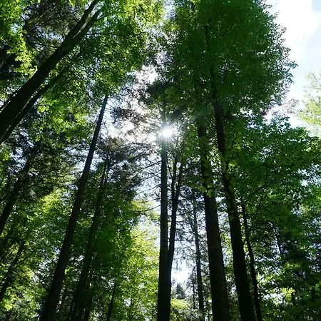 Ehrenmattlehof Faisst 4*