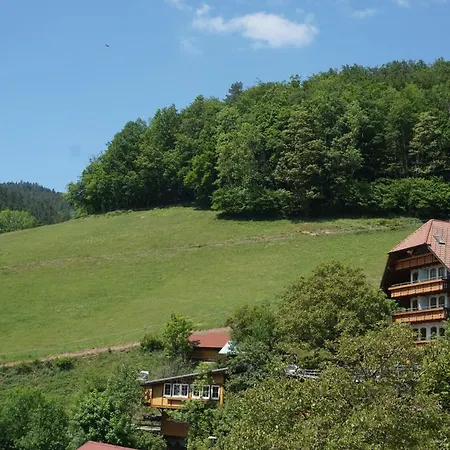 Ehrenmaettlehof Faisst アパートホテル 4*